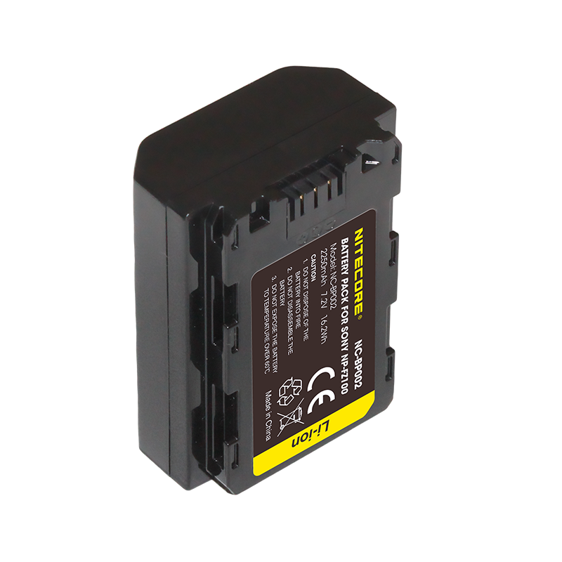 fz100 battery